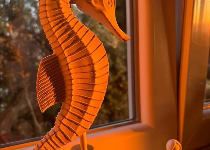 Daire Celice - Levanat Okrug Donji Donji Okrug (Ciovo)